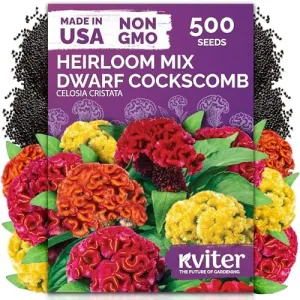black-eyed-susan-seeds