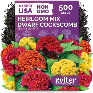 black-eyed-susan-seeds