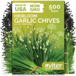 black-eyed-susan-seeds