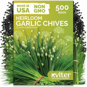 black-eyed-susan-seeds