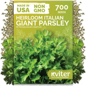 black-eyed-susan-seeds