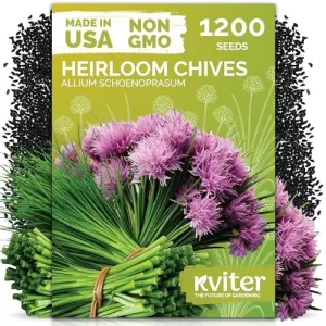 black-eyed-susan-seeds