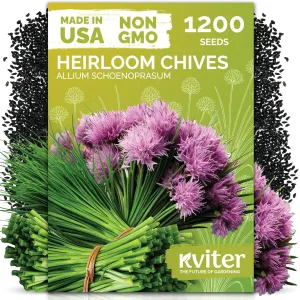 black-eyed-susan-seeds