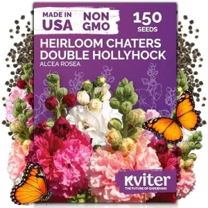 black-eyed-susan-seeds