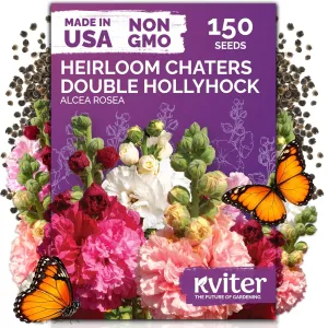 black-eyed-susan-seeds