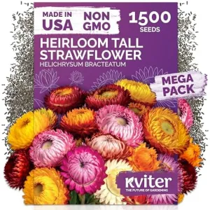 black-eyed-susan-seeds