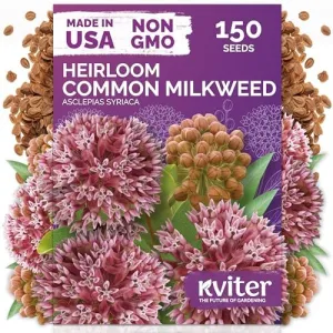 black-eyed-susan-seeds