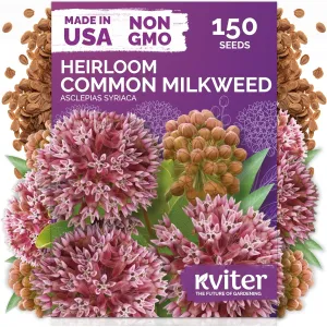 black-eyed-susan-seeds