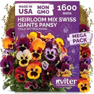 black-eyed-susan-seeds