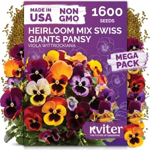 black-eyed-susan-seeds