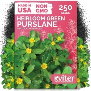 black-eyed-susan-seeds
