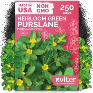 black-eyed-susan-seeds