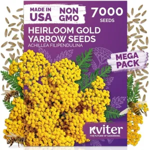 black-eyed-susan-seeds