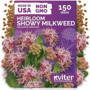 black-eyed-susan-seeds