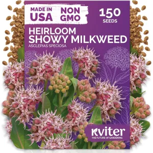 black-eyed-susan-seeds