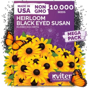 Black Eyed Susan Seeds