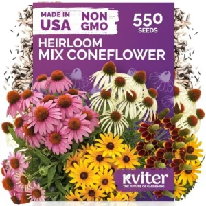 black-eyed-susan-seeds