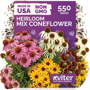 black-eyed-susan-seeds