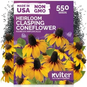 black-eyed-susan-seeds