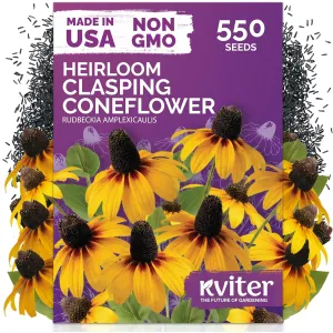 black-eyed-susan-seeds