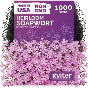 black-eyed-susan-seeds