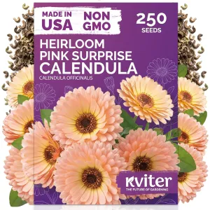 black-eyed-susan-seeds