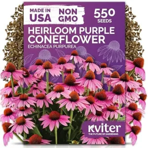 black-eyed-susan-seeds