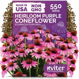 black-eyed-susan-seeds