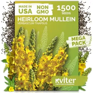 black-eyed-susan-seeds