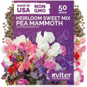 black-eyed-susan-seeds