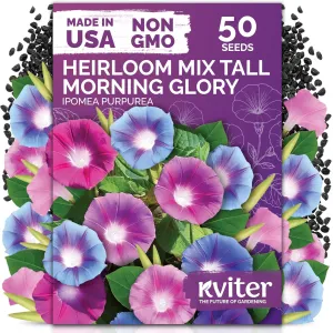 black-eyed-susan-seeds