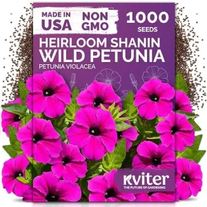 black-eyed-susan-seeds