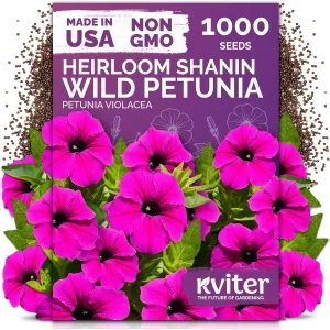 black-eyed-susan-seeds