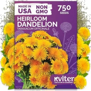 black-eyed-susan-seeds