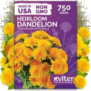 black-eyed-susan-seeds