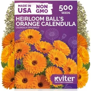black-eyed-susan-seeds