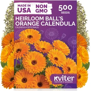 black-eyed-susan-seeds