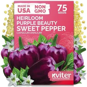 black-eyed-susan-seeds