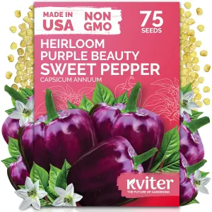 black-eyed-susan-seeds