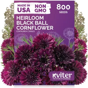 black-eyed-susan-seeds