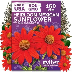 black-eyed-susan-seeds