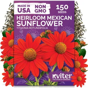 black-eyed-susan-seeds