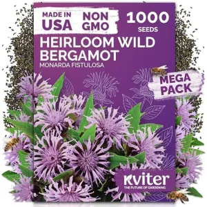 black-eyed-susan-seeds