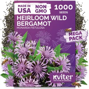 black-eyed-susan-seeds