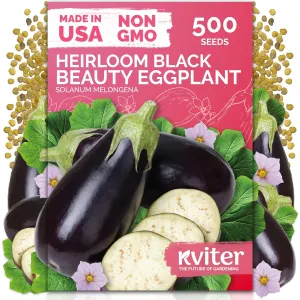 black-eyed-susan-seeds
