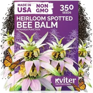 black-eyed-susan-seeds