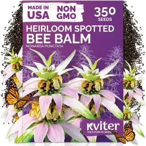 black-eyed-susan-seeds