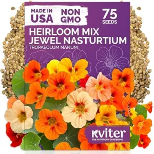 black-eyed-susan-seeds