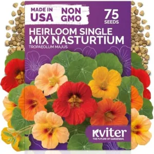 black-eyed-susan-seeds