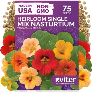 black-eyed-susan-seeds